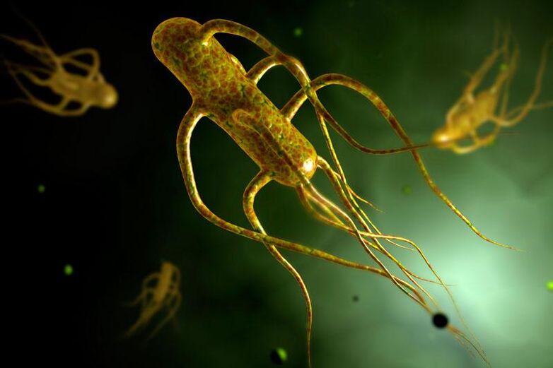 Salmonella žije v ľudskom čreve